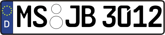 MS-JB3012