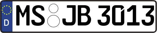 MS-JB3013