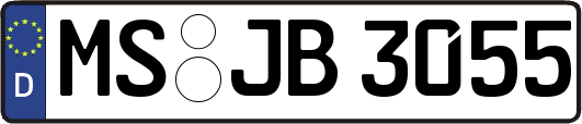MS-JB3055