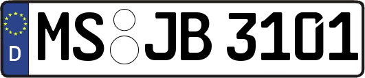 MS-JB3101