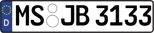 MS-JB3133