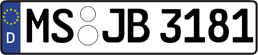 MS-JB3181