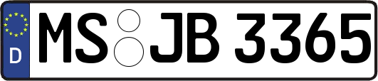 MS-JB3365