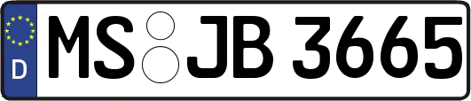 MS-JB3665
