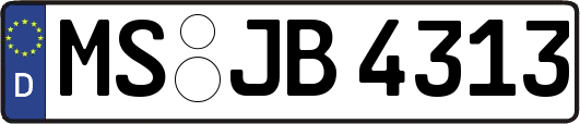 MS-JB4313
