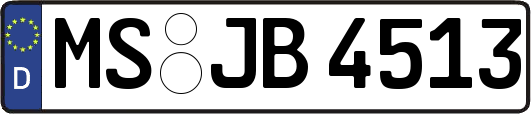 MS-JB4513