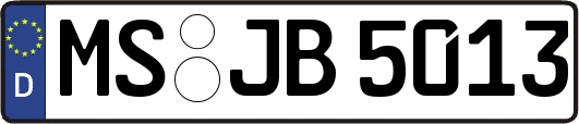 MS-JB5013