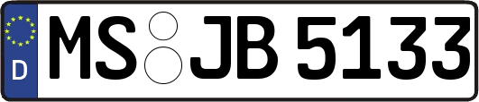 MS-JB5133