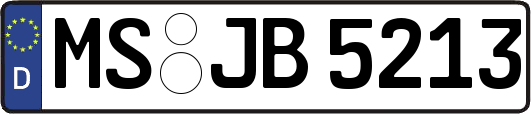 MS-JB5213