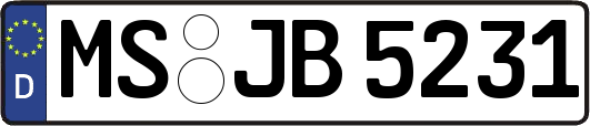MS-JB5231