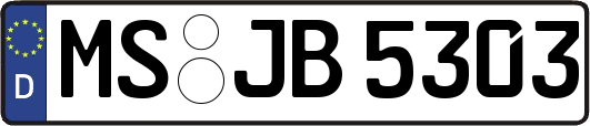 MS-JB5303