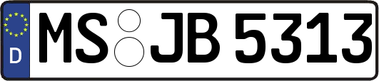 MS-JB5313