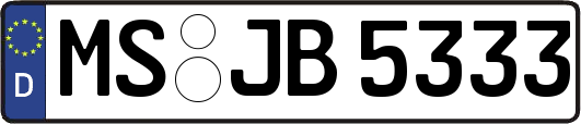 MS-JB5333