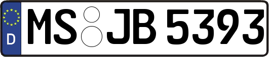MS-JB5393