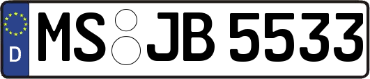 MS-JB5533