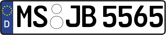 MS-JB5565
