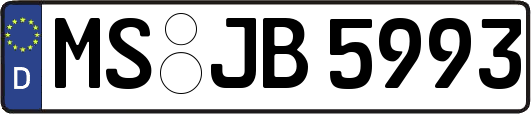 MS-JB5993