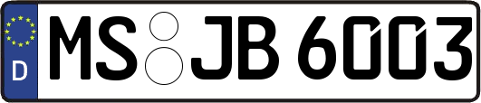 MS-JB6003