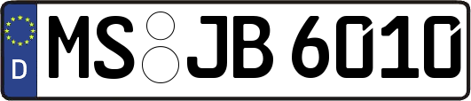 MS-JB6010