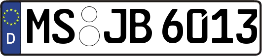 MS-JB6013