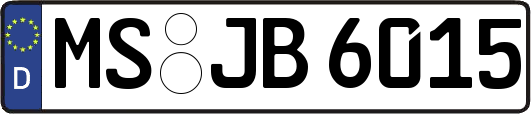 MS-JB6015