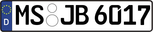 MS-JB6017