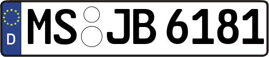MS-JB6181