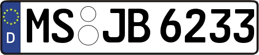 MS-JB6233