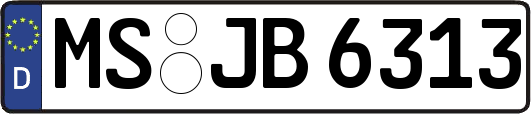 MS-JB6313