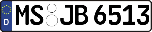 MS-JB6513