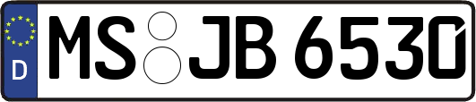 MS-JB6530