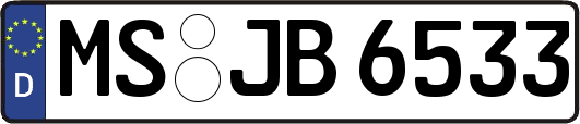 MS-JB6533