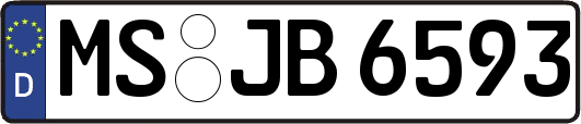 MS-JB6593