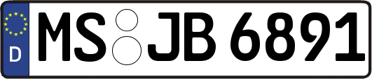 MS-JB6891