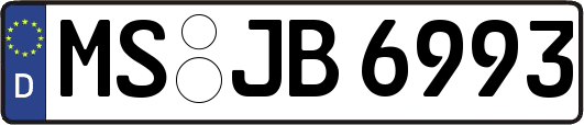 MS-JB6993