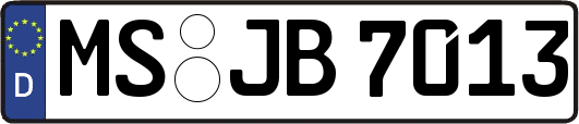 MS-JB7013