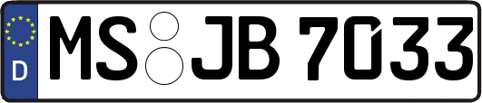 MS-JB7033