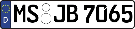 MS-JB7065
