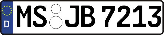 MS-JB7213