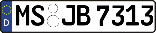 MS-JB7313