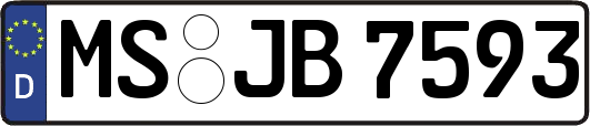 MS-JB7593
