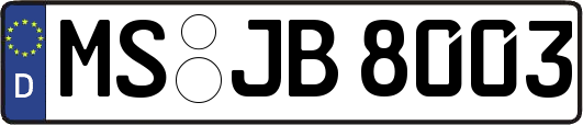 MS-JB8003
