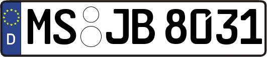 MS-JB8031