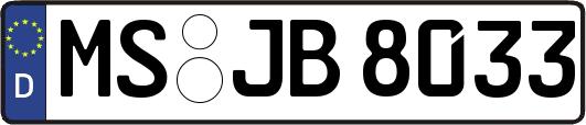 MS-JB8033