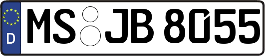 MS-JB8055
