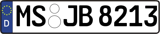 MS-JB8213