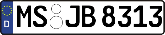 MS-JB8313