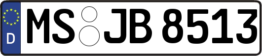 MS-JB8513