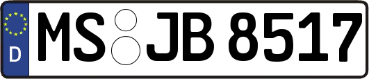 MS-JB8517