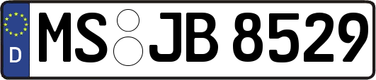 MS-JB8529